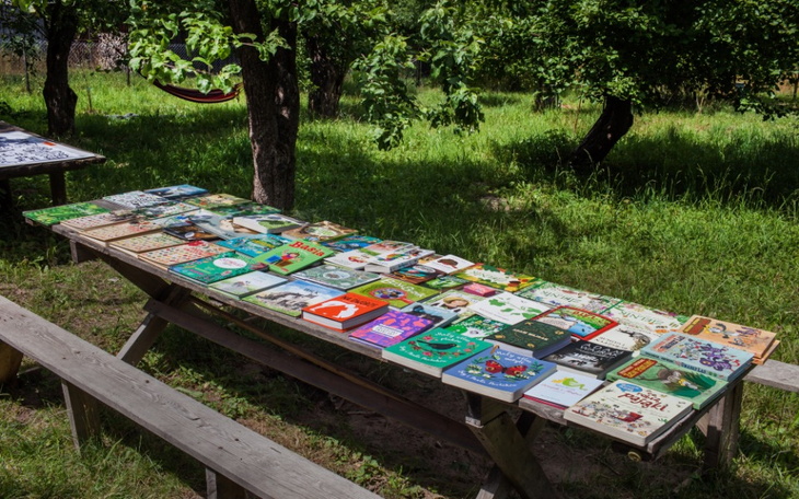 Zbiórka Leśna Czytelnia - zdjęcie główne