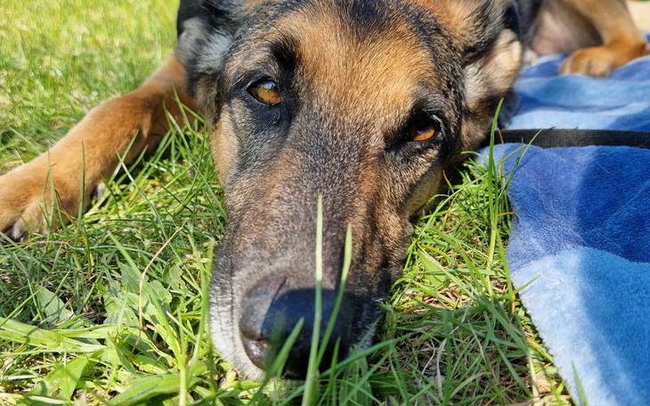 Zbiórka Jak mam nie walczyć o TE oczy - zdjęcie główne