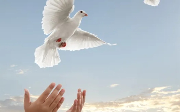 Zbiórka Pomóż dobremu człowiekowi - zdjęcie główne