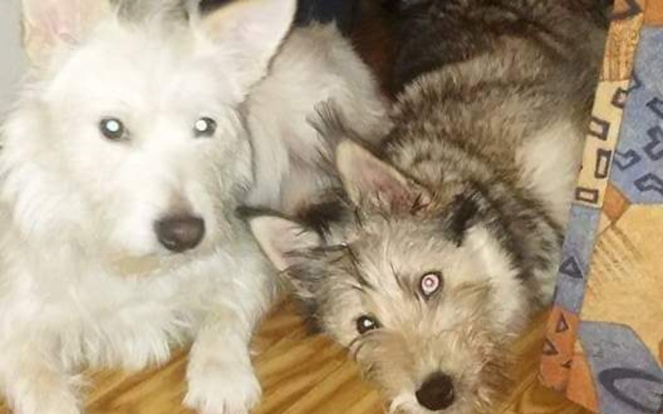 Zbiórka Śmierć odebrała im wszystko - zdjęcie główne