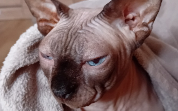 Zbiórka Na leczenie, na dalszą diagnozę - zdjęcie główne