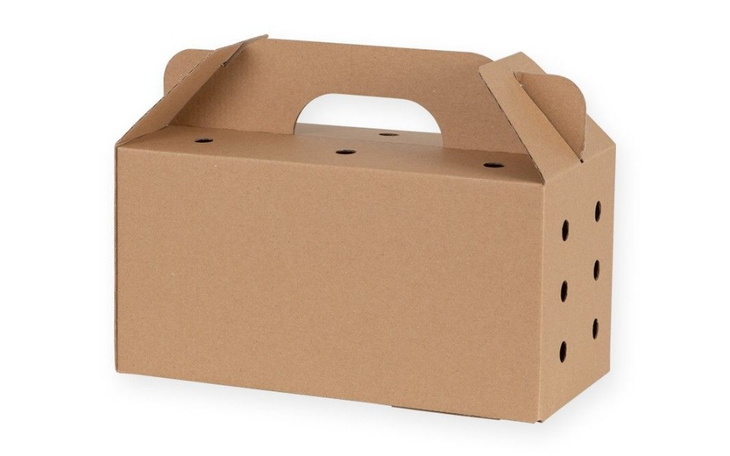 Zbiórka Transportery dla zwierząt w UA - zdjęcie główne