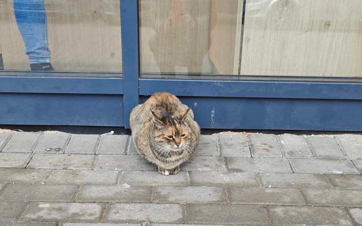 Zbiórka Bezdomność pod sklepem Ratuj - zdjęcie główne