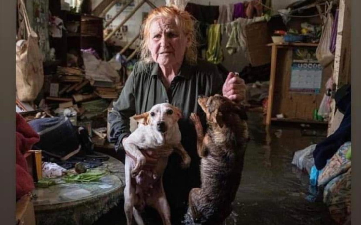 Zbiórka Kherson Oblast floods relief - zdjęcie główne