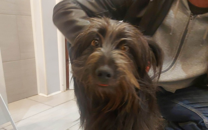 Zbiórka Czy Bąbel pokona babeszjozę - zdjęcie główne