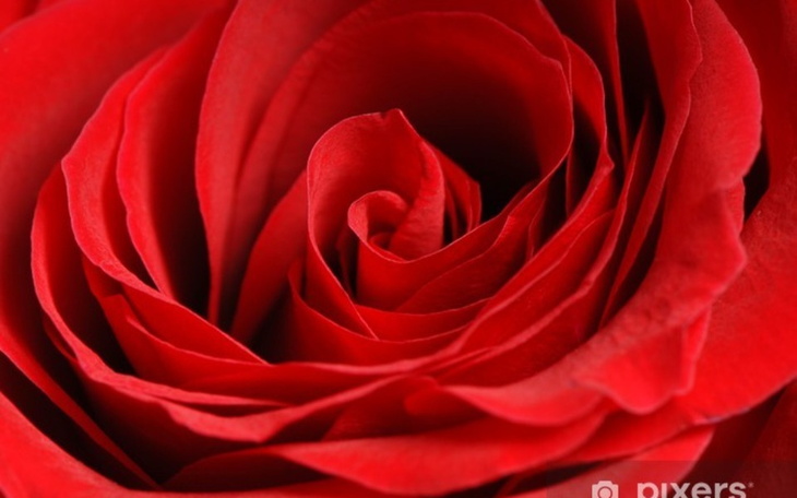 Zbiórka Dla chorej siostry - zdjęcie główne