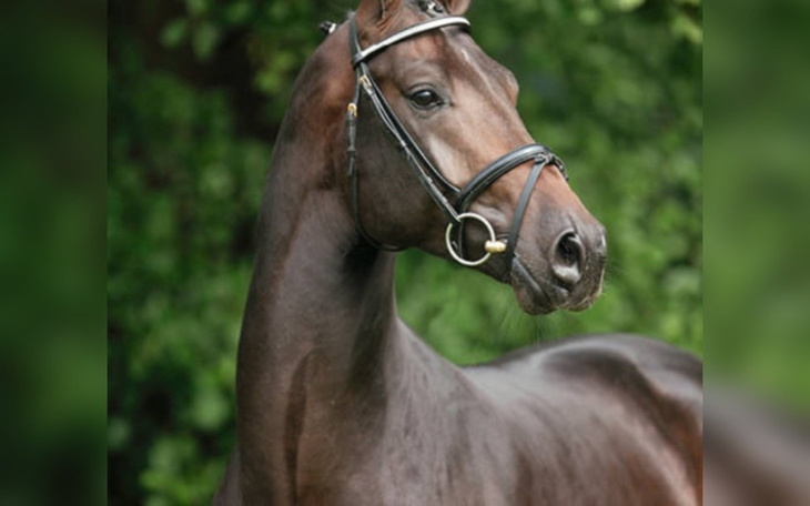 Zbiórka na pomoc w osiągnięciu marzenia - zdjęcie główne