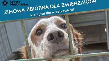 Zbiórka Zimowa zbiórka dla zwierzaków 6 - miniaturka zdjęcia