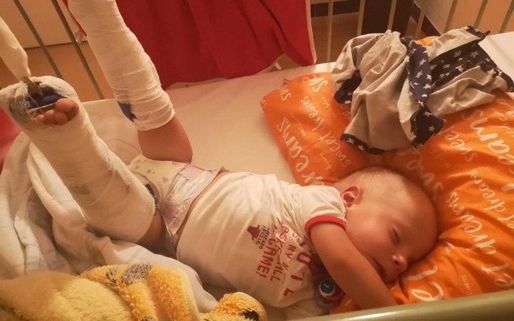 Zbiórka Bądź moimi skrzydłami - zdjęcie główne