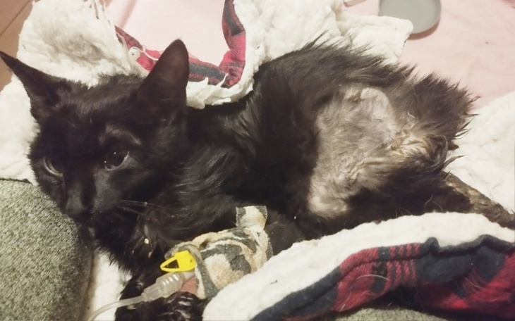 Zbiórka Byle Zdążyć przed śmiercią - zdjęcie główne