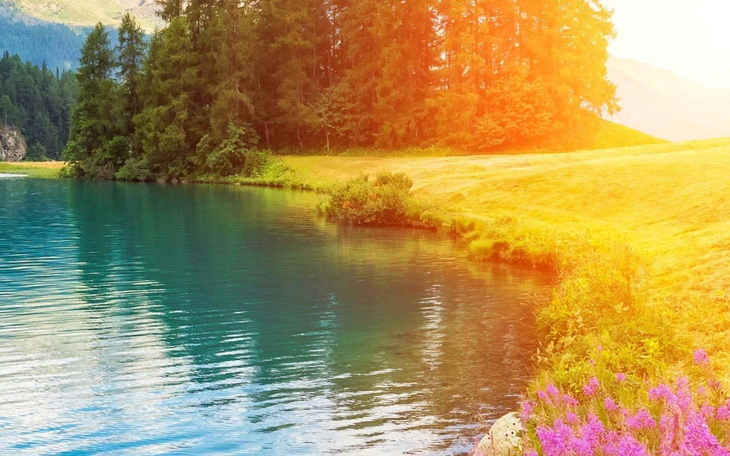 Zbiórka Potrzebuję na opłaty i jedzenie - zdjęcie główne