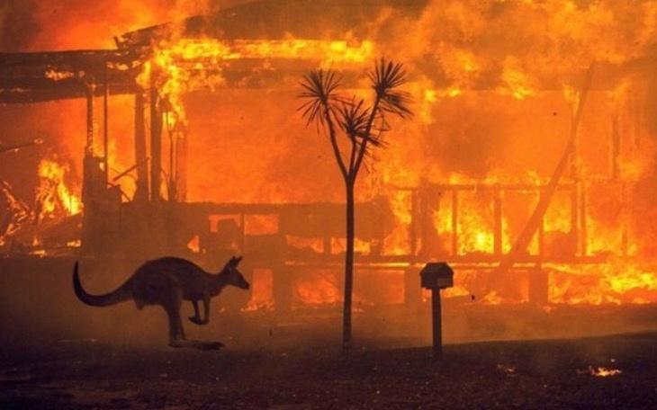 Zbiórka Na płonącą Australię - zdjęcie główne