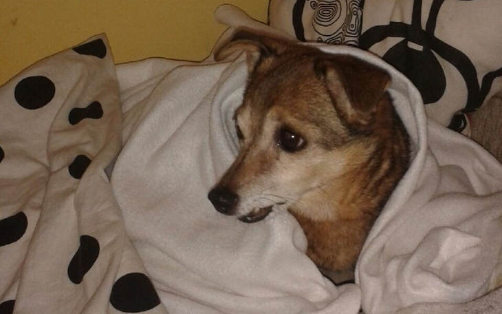 Zbiórka Ratujemy Nikosia - zdjęcie główne