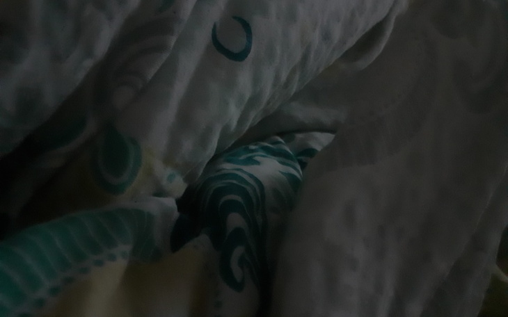 Zbiórka Na dom i stabilność w życiu - zdjęcie główne