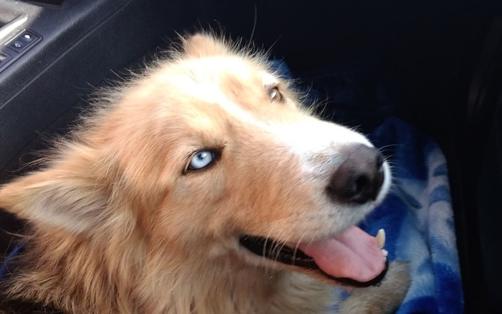 Zbiórka Hucos - zdjęcie główne