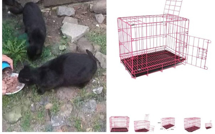 Zbiórka Niezbędny sprzęt - zdjęcie główne