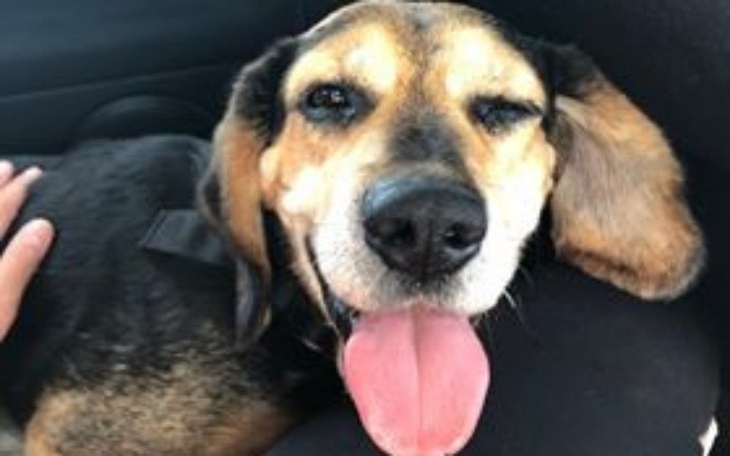 Zbiórka Bilet z sercem do biegania - zdjęcie główne