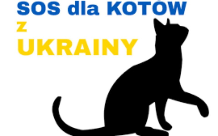 Zbiórka Na karmę Zwierząt na UKRAINIE - zdjęcie główne
