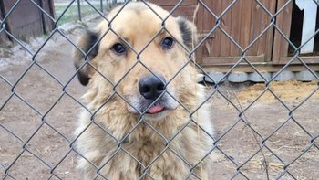 Zbiórka Rachunek za prąd do 29XII - miniaturka zdjęcia