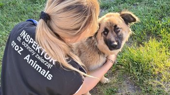 Zbiórka Nami z łańcucha - miniaturka zdjęcia
