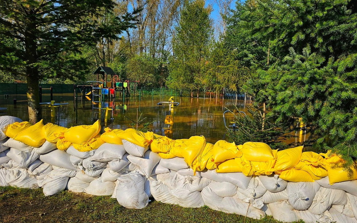 Zbiórka Odbudowa placu zabaw dla SOSW - zdjęcie główne