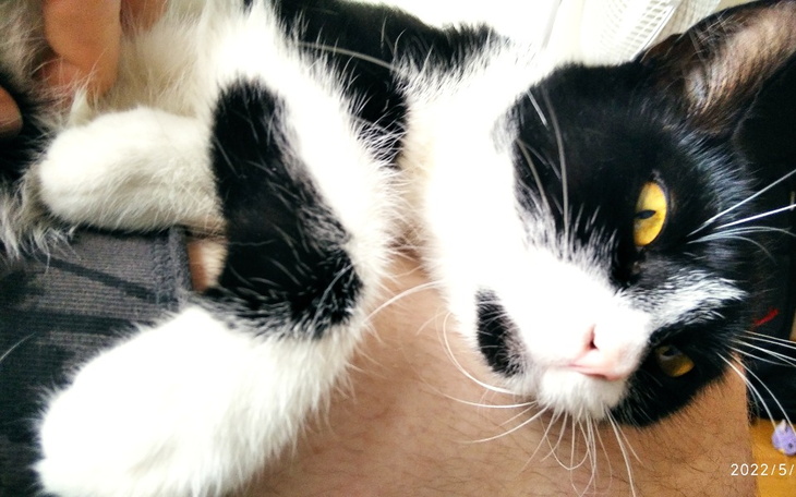 Zbiórka Zbiórka dla Marsa - zdjęcie główne