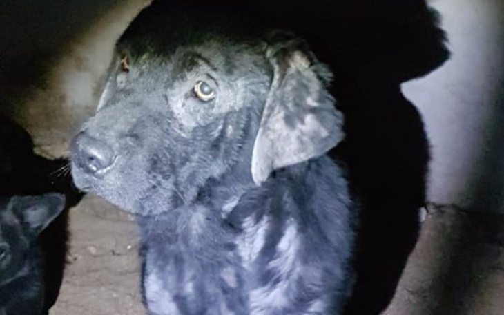 Zbiórka Diego walczy o zdrowie - zdjęcie główne