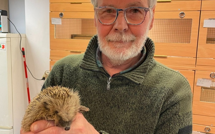 Zbiórka Jerzy dla Jeży - zdjęcie główne