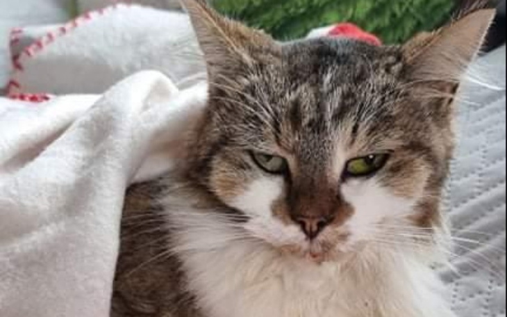 Zbiórka BALBINKA potrzebuje Twojej pomoc - zdjęcie główne