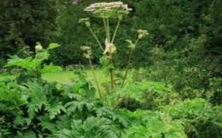 Zbiórka Pomoc dla Mamy po wypadku - zdjęcie główne