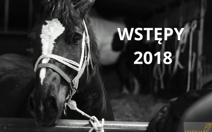 Zbiórka Skaryszew 19 luty 2018 - zdjęcie główne