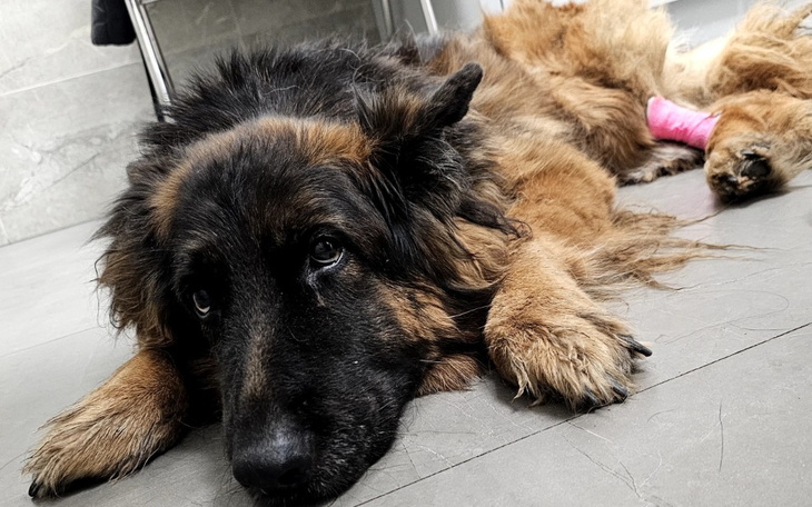 Zbiórka Dla Baki - zdjęcie główne