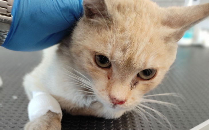 Zbiórka Czy jego imię pozwoli mu wygrać - zdjęcie główne