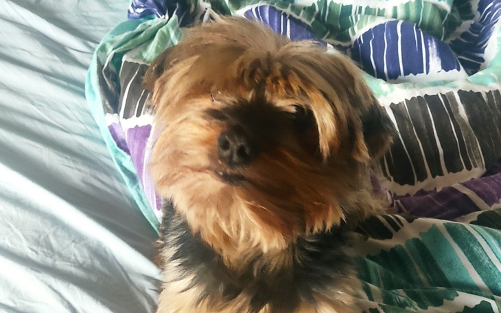 Zbiórka zbiórka na Nikusia - zdjęcie główne