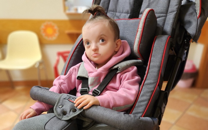 Zbiórka Pionizator lori - zdjęcie główne