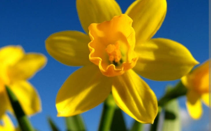 Zbiórka Wsparcie dla Andrzeja - zdjęcie główne