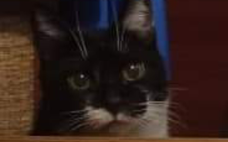 Zbiórka Życie bez bólu dla Teodorka - zdjęcie główne