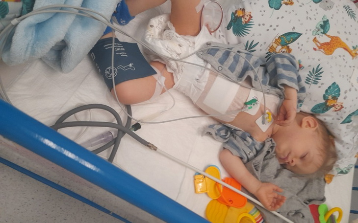 Zbiórka Dla Wojownika Alana - zdjęcie główne