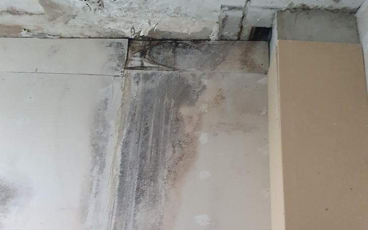 Zbiórka Daj papę na papę - zdjęcie główne