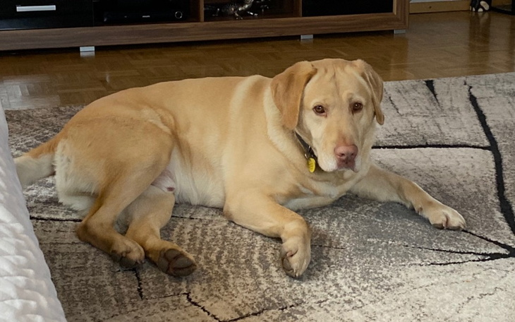 Zbiórka Kafar potrzebuje pomocy innych - zdjęcie główne