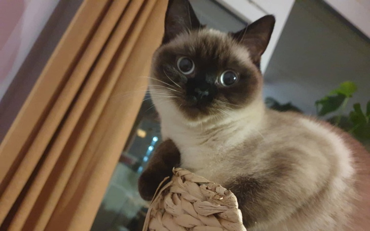 Zbiórka Pomóżmy Zoji wyzdrowieć - zdjęcie główne