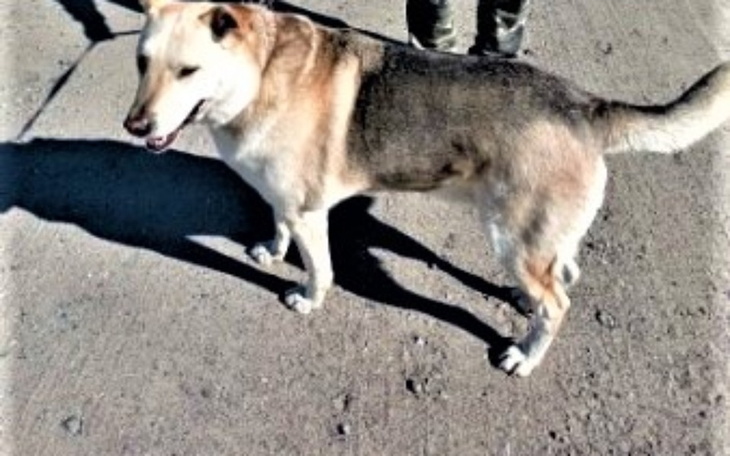 Zbiórka Bazyl, Rudy i Czako czekają.... - zdjęcie główne