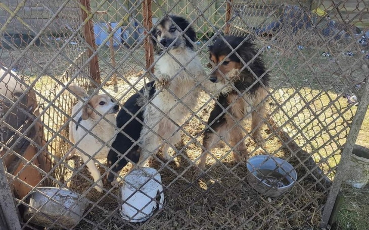 Zbiórka Transport do normalnosci - zdjęcie główne
