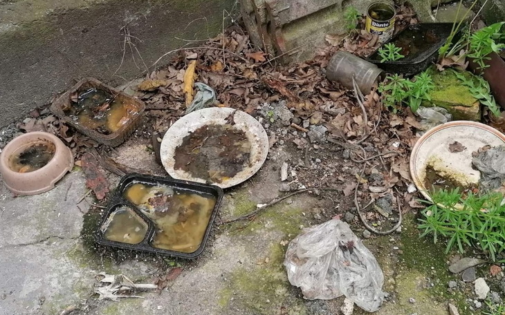 Zbiórka Dziś Nie Pójdziesz Głodny Spać. - zdjęcie główne