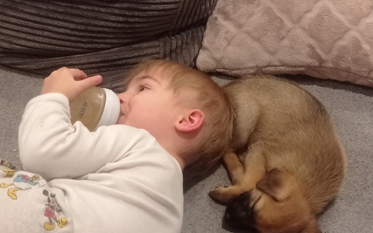 Zbiórka Zbieram na wyjazd do Irlandi - zdjęcie główne