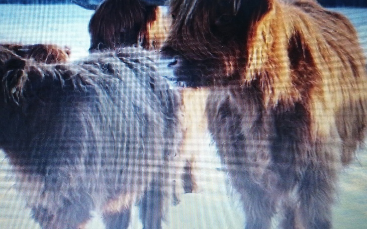 Zbiórka Rozwuj gospodarki - zdjęcie główne