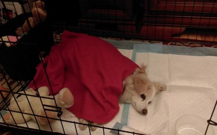 Zbiórka Na cito badanie Rezonans Magnety - zdjęcie główne