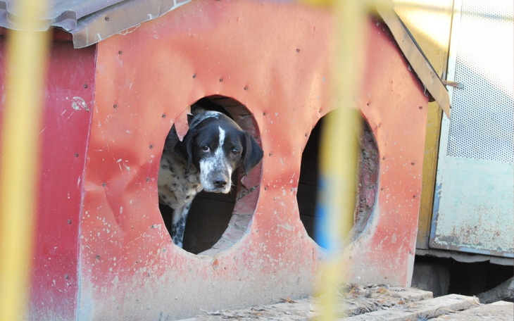 Zbiórka Coby mieć dach nad głową - zdjęcie główne