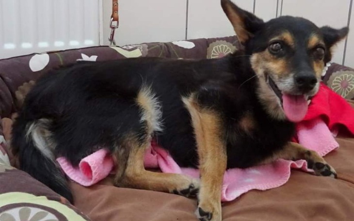 Zbiórka Mogłeś potrącić mnie mocniej - zdjęcie główne