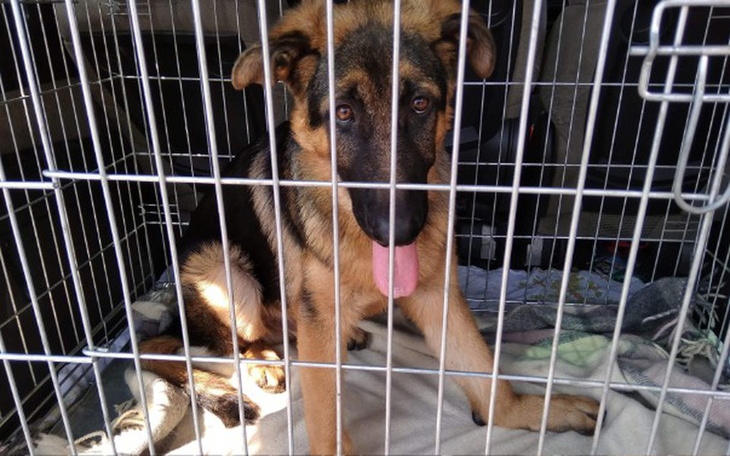 Zbiórka Uratuj przed kalectwem! - zdjęcie główne